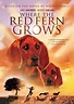 Where the Red Fern Grows - Movie Reviews
