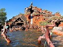 Splash Mountain Reopens to Cold Temperatures and Large Crowds at Magic ...