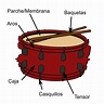 【El Tambor 】- Que es, Tipos, Partes, Origen, Caja y tambor ️
