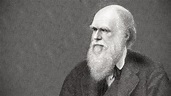Biography: Charles Darwin: Natural Selection | Vision