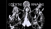 Whitesnake - Fool for your loving feat. Steve Vai [HQ] - YouTube