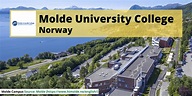 Molde University College (HiM), Norway - nViews Career