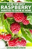 The Top 13 Raspberry Varieties to Grow in Zones 3-9 | Gardener’s Path