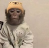 98 ideas de Georgie boy monkey | monos divertidos, fotos de monos bebes ...