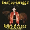 Wild Horses (Attom Remix) | Bishop Briggs Wiki | Fandom