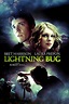 Ver "Lightning Bug" Película Completa - Cuevana 3