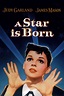 A Star Is Born (1954 film) - Alchetron, the free social encyclopedia