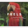 Calvin Harris, Feels | Testo, Traduzione e Video