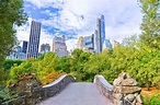 Central Park : 15 choses à découvrir dans le parc de New York