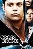 Watch Cross Bronx (2007) - Free Movies | Tubi