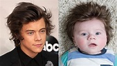 ¿Harry Styles ha tenido un hijo? | Red17