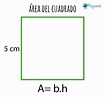 Cómo calcular el área del cuadrado - Pequeocio