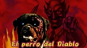 EL PERRO DEL DIABLO (relato de terror)-Radio Universal - YouTube