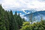 Your Travel Buddy: Wildschönau, Tirol in Summer: Austria’s Alpine Views ...