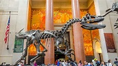 Ingressos para o Museu de História Natural de Nova York: como comprar e ...