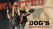 Dog's Most Wanted Season 1 Episode 3 : Alabama Sweep - Dog's Most ...