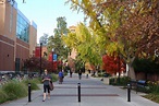 File:California State University, Chico - DSC03157.JPG - Wikimedia Commons