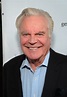 Actor Robert Wagner Has Been Named As A "Person Of Interest" In Natalie ...