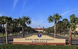 Texas A&M University-Kingsville - Link for Counselors