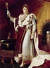 Napoleón I, emperador de los franceses | Noticias de actualidad | EL PAÍS
