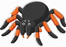 Cartoon spider tarantula on white background 5162541 Vector Art at Vecteezy