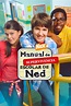 Manual de supervivencia escolar de Ned | Doblaje Wiki | Fandom