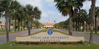 Texas A & M University-Kingsville | Forward Pathway