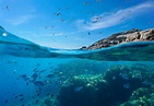 Top 145+ Imagenes de el mar mediterraneo - Destinomexico.mx