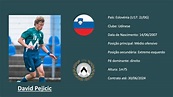 David Pejicic (Udinese | Slovenia) footage vs USYNT U15 - YouTube