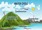 Premium Vector | Water cycle diagram earth hydrologic process ...