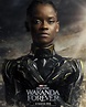 L'affiche de Wakanda Forever démasque Shuri en tant que nouvelle ...