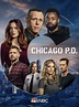 Season 8 | Chicago PD Wiki | Fandom