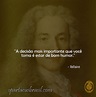 20 Melhores Frases de Voltaire para Refletir | Spartacus Brasil