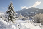 Skiurlaub Alpbachtal 2023/ 2024 inkl. Skipass Top Preise