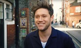 Watch Niall Horan’s ‘Nice to Meet Ya’ Video & Hear the New Song ...