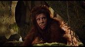 The Land of the Lost Blu-ray - Will Ferrell