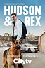 Hudson & Rex (TV Series 2019- ) - Posters — The Movie Database (TMDB)
