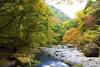 菊池渓谷 | 観光スポット | 【公式】熊本県観光サイト もっと、もーっと！くまもっと。