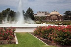 Visiting Exposition Park Rose Garden in Los Angeles