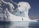 Antarctic Peninsula cruise | Audley Travel US