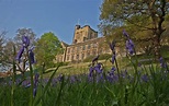 Bangor University: Things to do - North Wales Live