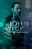 Ver John Wick 1: Otro Día Para Matar 2014 online HD - Cuevana