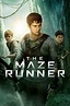The Maze Runner - Where to Watch and Stream - TV Guide