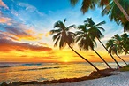 10 islas increíbles para perderte en el Caribe - DonConsejo.com