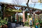 Visitar el zoo de Central Park en Nueva York