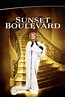 Sunset Boulevard Pelicula Completa 360p in 2020 | Great movies, Film ...