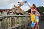Zoo Miami Foundation - bocaratonobserver.com
