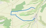 VG Alsenz-Obermoschel - Rundwanderweg R40 Trail | Pacer