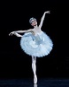 Swan Lake | The Australian Ballet