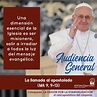 PAPA FRANCISCO AUDIENCIA GENERAL Catequesis. La pasión por la ...